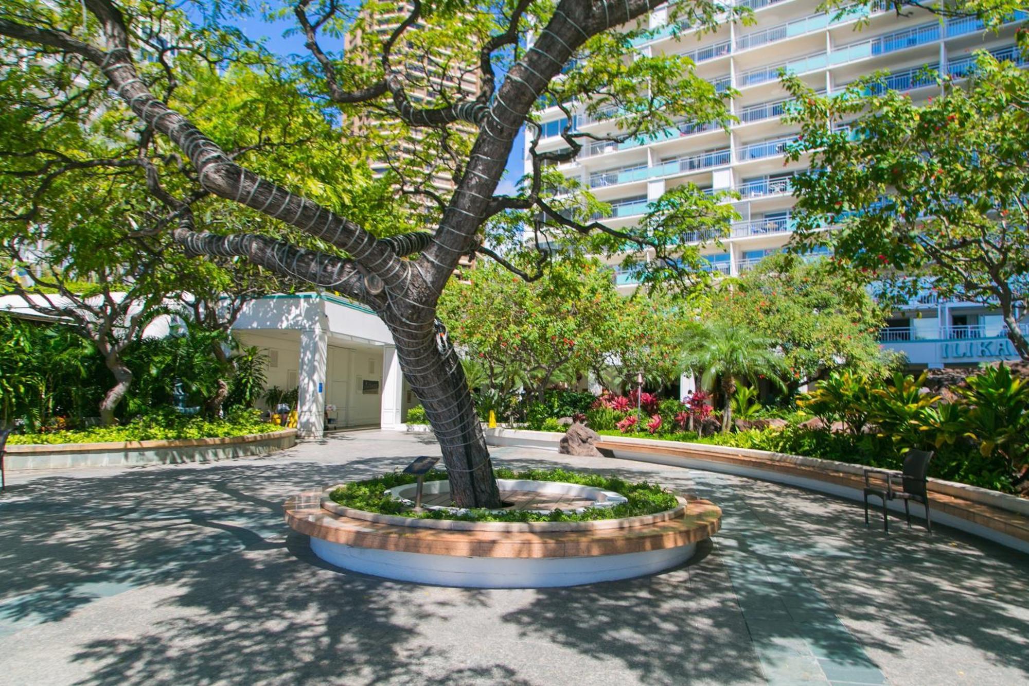 Ilikai Tower 931 Yacht Harbor View 1Br Appartement Honolulu Buitenkant foto